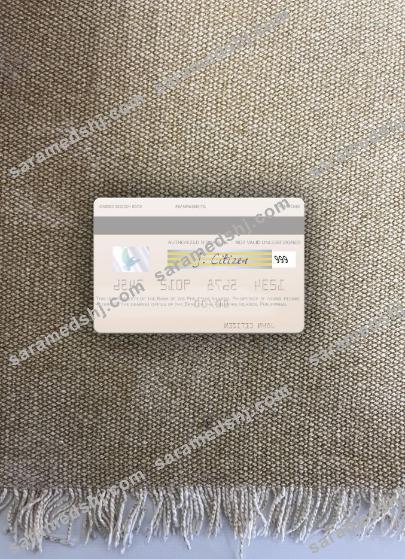 Philippines Bank of the Philippine Islands visa debit card photolook back